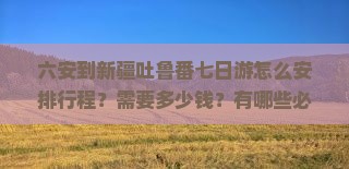 六安到新疆吐鲁番七日游怎么安排行程?需要多少钱?有哪些必看景点? 六安到新疆吐鲁番七日游怎么安排行程?需要多少钱?有哪些必看景点?