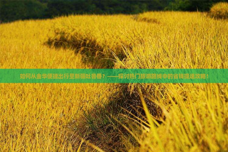 如何从金华便捷出行至新疆吐鲁番？——探讨热门旅游路线中的省钱提速攻略！