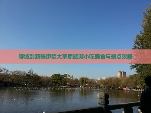 聊城到新疆伊犁大草原旅游小吃美食与景点攻略