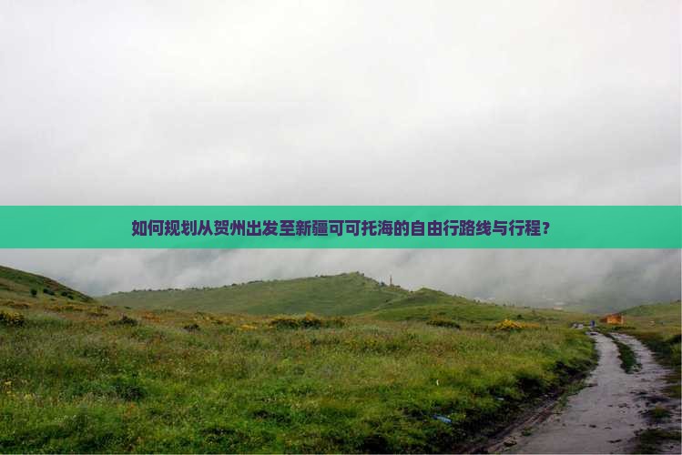 如何规划从贺州出发至新疆可可托海的自由行路线与行程？