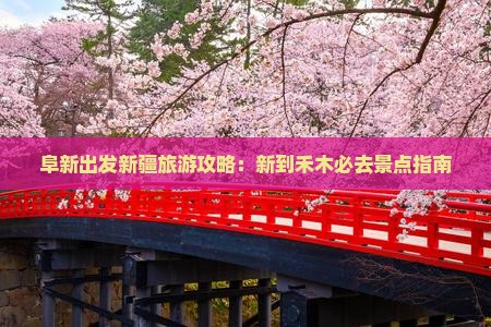 阜新出发新疆旅游攻略：新到禾木必去景点指南