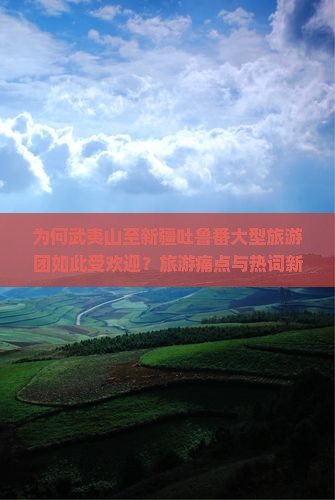 为何武夷山至新疆吐鲁番大型旅游团如此受欢迎？旅游痛点与热词新词背后的秘密！