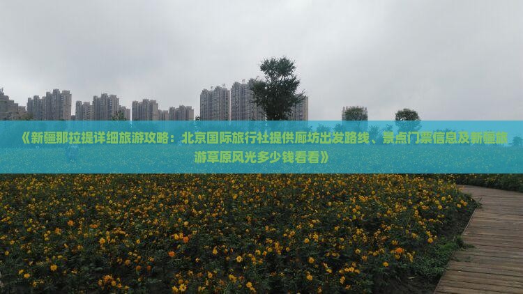 《新疆那拉提详细旅游攻略：北京国际旅行社提供廊坊出发路线、景点门票信息及新疆旅游草原风光多少钱看看》