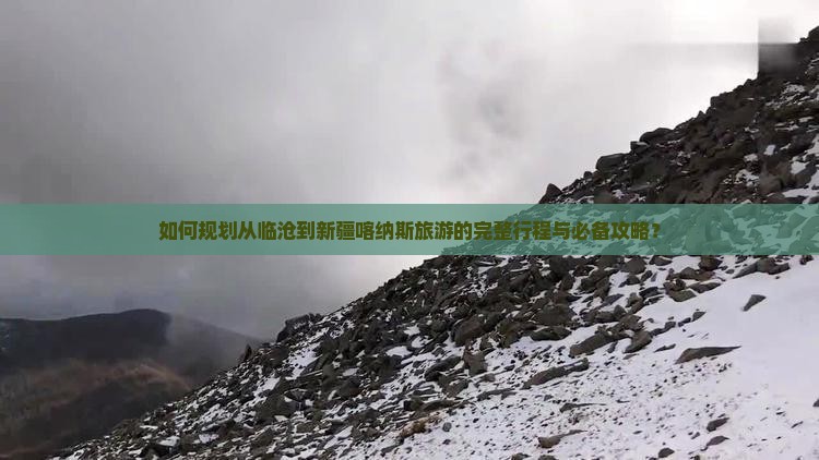 如何规划从临沧到新疆喀纳斯旅游的完整行程与必备攻略？