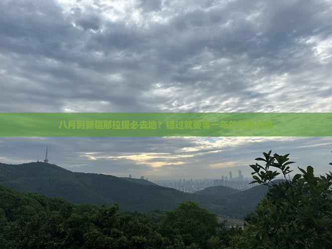 八月到新疆那拉提必去地？错过就要等一年的绝美秘境