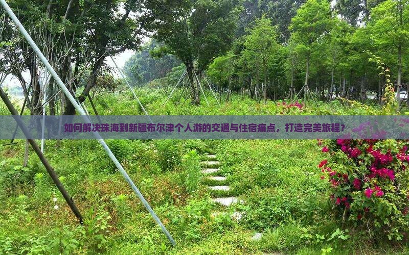 如何解决珠海到新疆布尔津个人游的交通与住宿痛点，打造完美旅程？