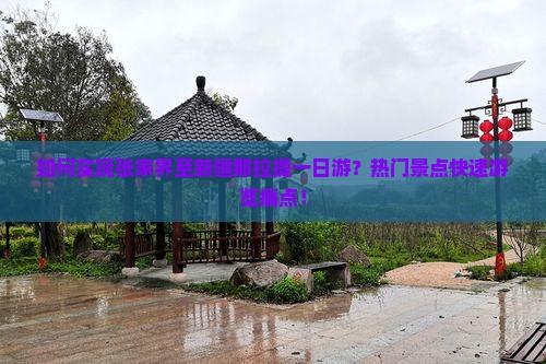 如何实现张家界至新疆那拉提一日游？热门景点快速游览痛点！