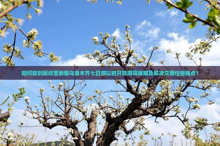 如何规划廊坊至新疆乌鲁木齐七日游以避开旅游高峰期及解决交通住宿痛点？