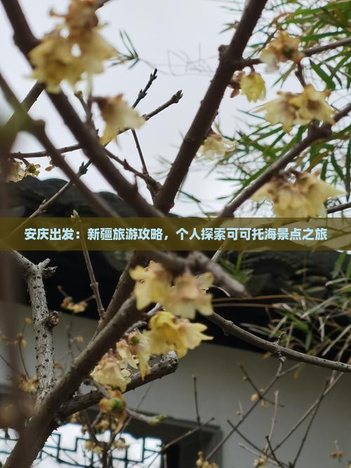 安庆出发：新疆旅游攻略，个人探索可可托海景点之旅