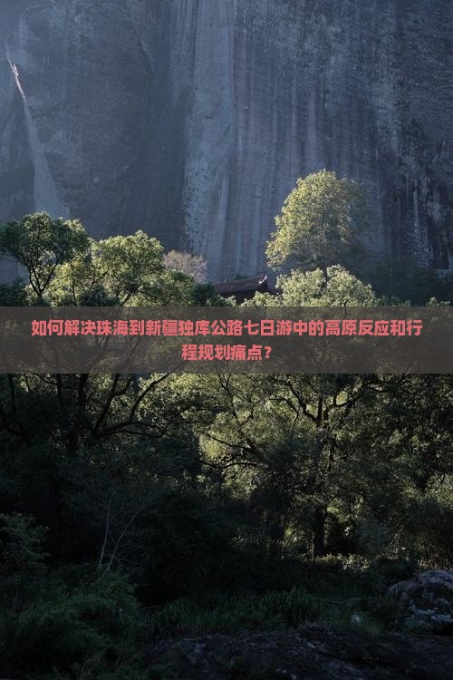 如何解决珠海到新疆独库公路七日游中的高原反应和行程规划痛点？