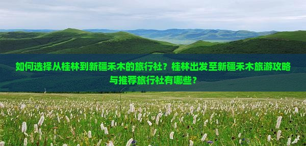 如何选择从桂林到新疆禾木的旅行社？桂林出发至新疆禾木旅游攻略与推荐旅行社有哪些？