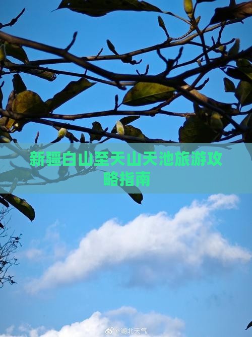 新疆白山至天山天池旅游攻略指南