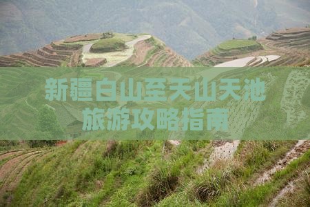 新疆白山至天山天池旅游攻略指南