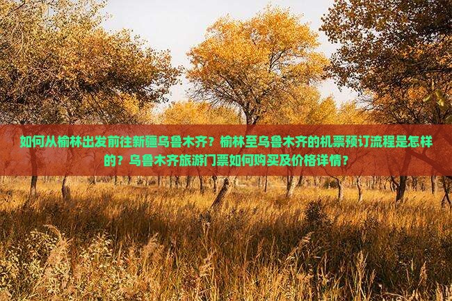 如何从榆林出发前往新疆乌鲁木齐？榆林至乌鲁木齐的机票预订流程是怎样的？乌鲁木齐旅游门票如何购买及价格详情？