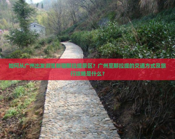 如何从广州出发游览新疆那拉提景区？广州至那拉提的交通方式及旅行攻略是什么？