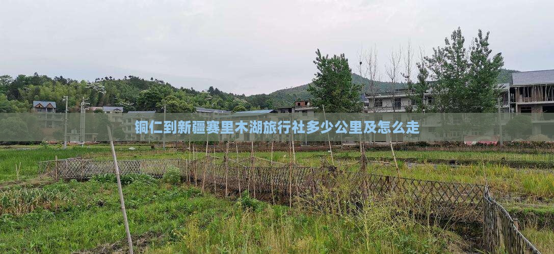 铜仁到新疆赛里木湖旅行社多少公里及怎么走