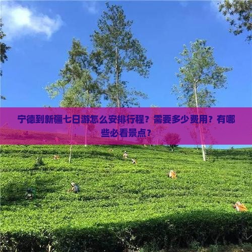 宁德到新疆七日游怎么安排行程？需要多少费用？有哪些必看景点？