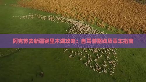 阿克苏去新疆赛里木湖攻略：自驾游路线及乘车指南