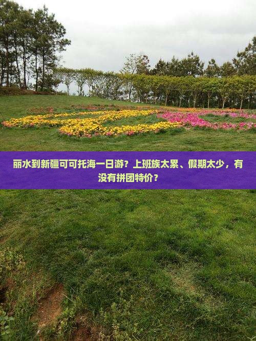 丽水到新疆可可托海一日游？上班族太累、假期太少，有没有拼团特价？