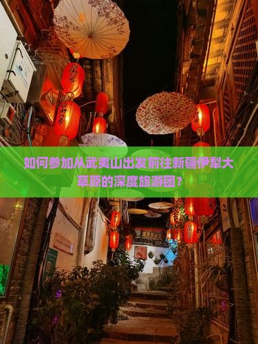 如何参加从武夷山出发前往新疆伊犁大草原的深度旅游团？