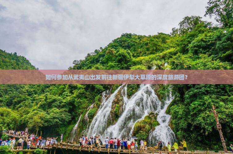 如何参加从武夷山出发前往新疆伊犁大草原的深度旅游团？