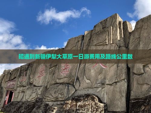 昭通到新疆伊犁大草原一日游费用及路线公里数