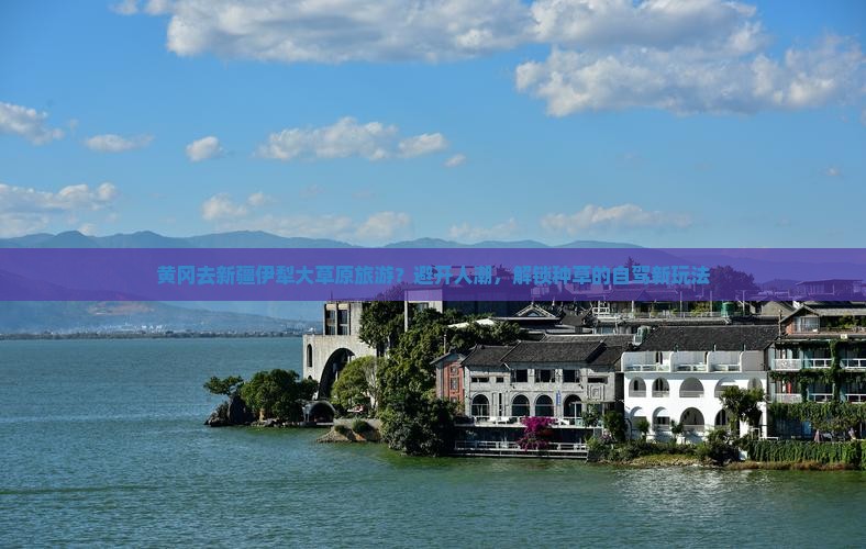 黄冈去新疆伊犁大草原旅游？避开人潮，解锁种草的自驾新玩法