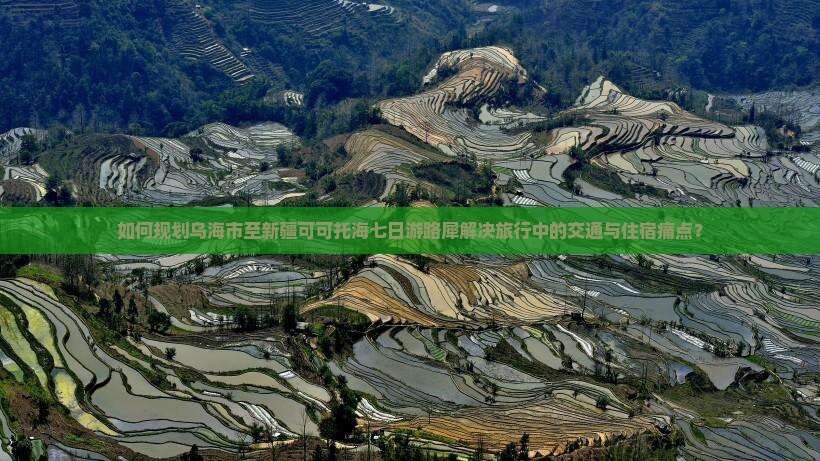 如何规划乌海市至新疆可可托海七日游路犀解决旅行中的交通与住宿痛点？
