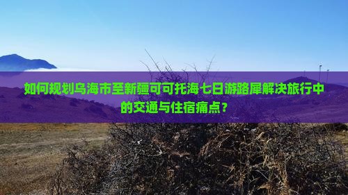 如何规划乌海市至新疆可可托海七日游路犀解决旅行中的交通与住宿痛点？