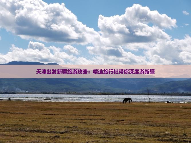 天津出发新疆旅游攻略：精选旅行社带你深度游新疆