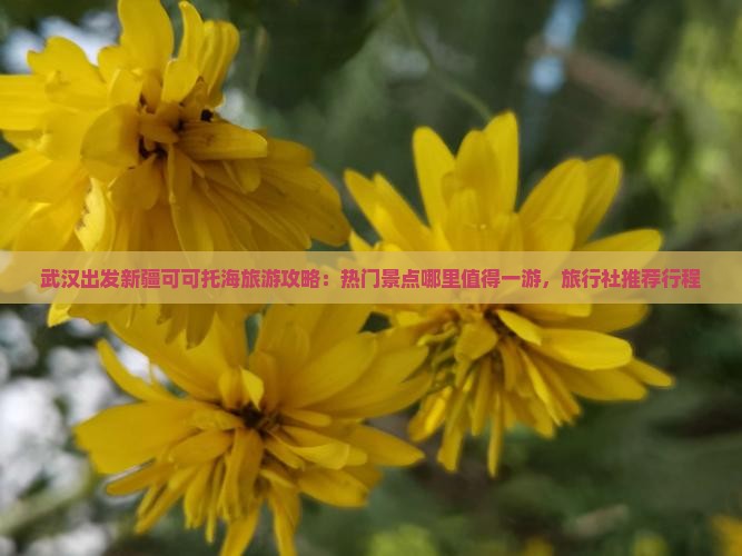武汉出发新疆可可托海旅游攻略：热门景点哪里值得一游，旅行社推荐行程