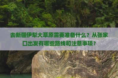 去新疆伊犁大草原需要准备什么？从张家口出发有哪些路线和注意事项？