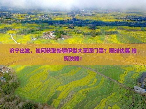 济宁出发，如何获取新疆伊犁大草原门票？限时优惠+抢购攻略！