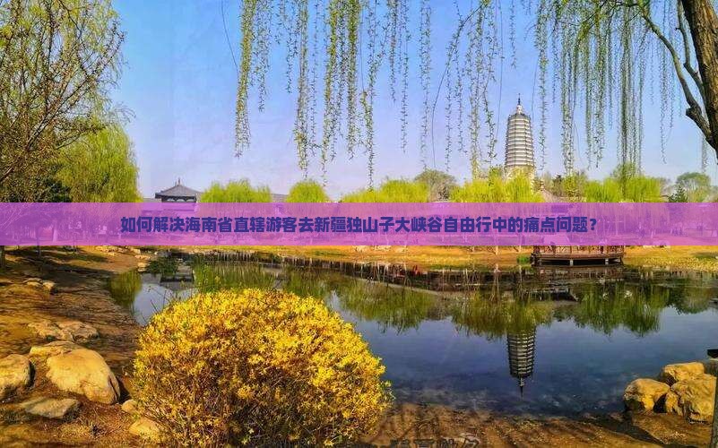 如何解决海南省直辖游客去新疆独山子大峡谷自由行中的痛点问题？