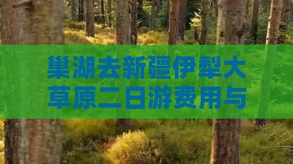巢湖去新疆伊犁大草原二日游费用与路线