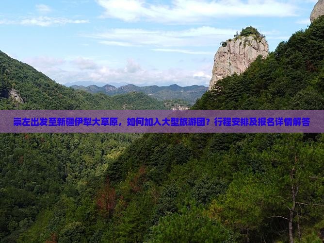 崇左出发至新疆伊犁大草原，如何加入大型旅游团？行程安排及报名详情解答