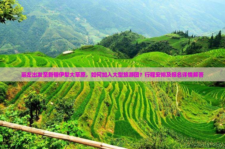 崇左出发至新疆伊犁大草原，如何加入大型旅游团？行程安排及报名详情解答