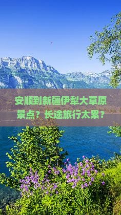 安顺到新疆伊犁大草原景点？长途旅行太累？试试新能源车，绿色出行更舒适！