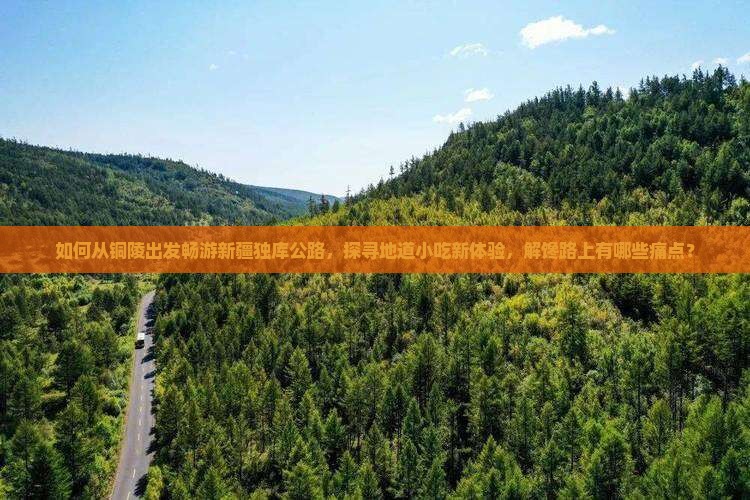 如何从铜陵出发畅游新疆独库公路，探寻地道小吃新体验，解馋路上有哪些痛点？