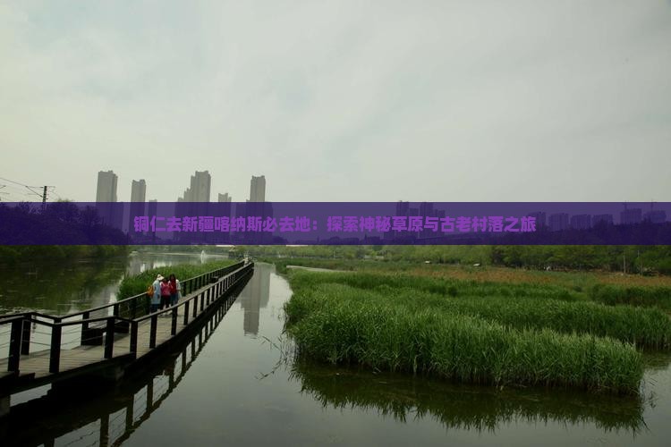 铜仁去新疆喀纳斯必去地：探索神秘草原与古老村落之旅
