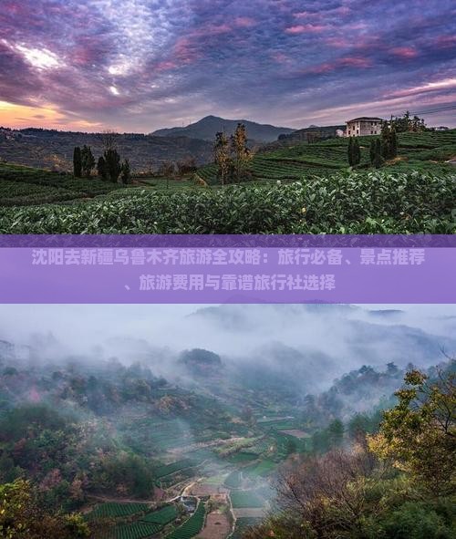 沈阳去新疆乌鲁木齐旅游全攻略：旅行必备、景点推荐、旅游费用与靠谱旅行社选择