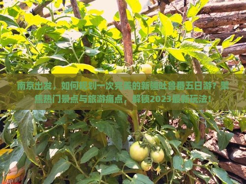 南京出发，如何规划一次完美的新疆吐鲁番五日游？聚焦热门景点与旅游痛点，解锁2023最新玩法！