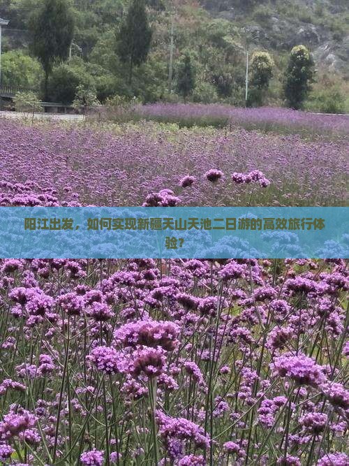 阳江出发，如何实现新疆天山天池二日游的高效旅行体验？
