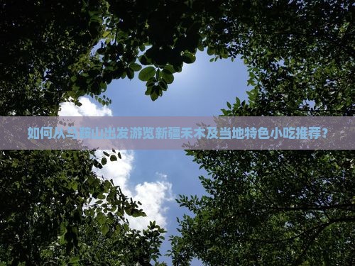如何从马鞍山出发游览新疆禾木及当地特色小吃推荐？