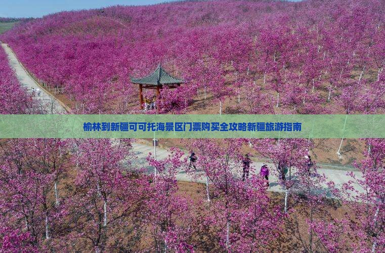 榆林到新疆可可托海景区门票购买全攻略新疆旅游指南