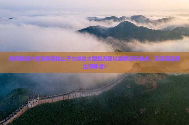 如何组建六安至新疆独山子大峡谷大型旅游团以缓解旅行痛点，实现高品质出游体验？