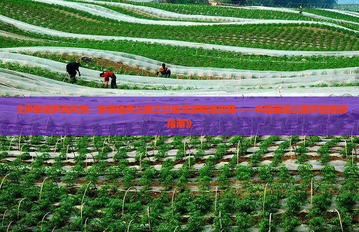 《伊犁哈萨克风情：新疆独库公路三日自驾游精选攻略——中国最美公路详细旅游指南》