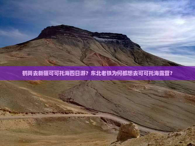 鹤岗去新疆可可托海四日游？东北老铁为何都想去可可托海露营？