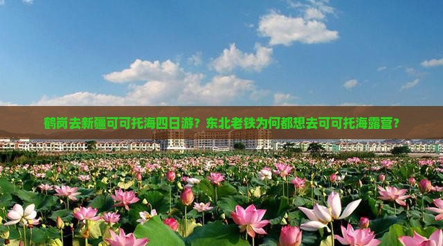 鹤岗去新疆可可托海四日游？东北老铁为何都想去可可托海露营？