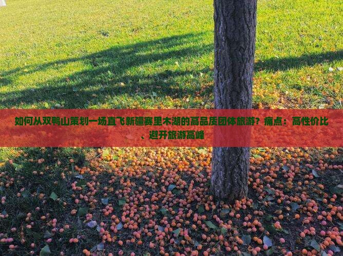 如何从双鸭山策划一场直飞新疆赛里木湖的高品质团体旅游？痛点：高性价比、避开旅游高峰
